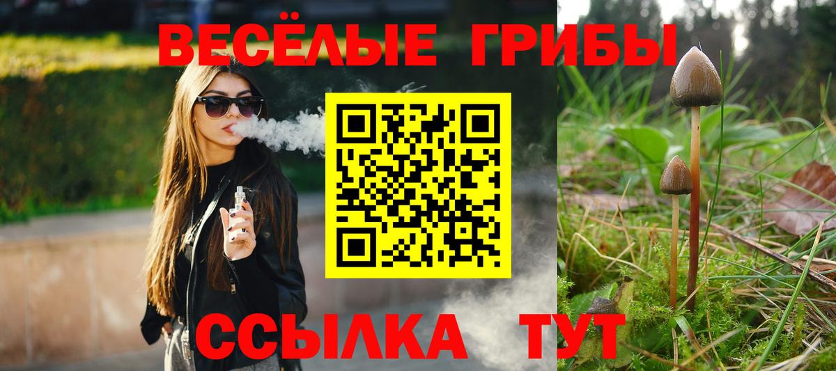 Псилоцибиновые грибы Magic Shrooms Хасавюрт