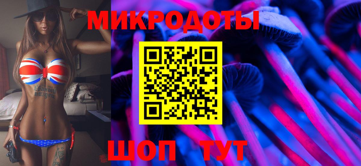 Хасавюрт  купить наркотик  Вход с VPN  Псилоцибиновые грибы GOLDEN TEACHER 